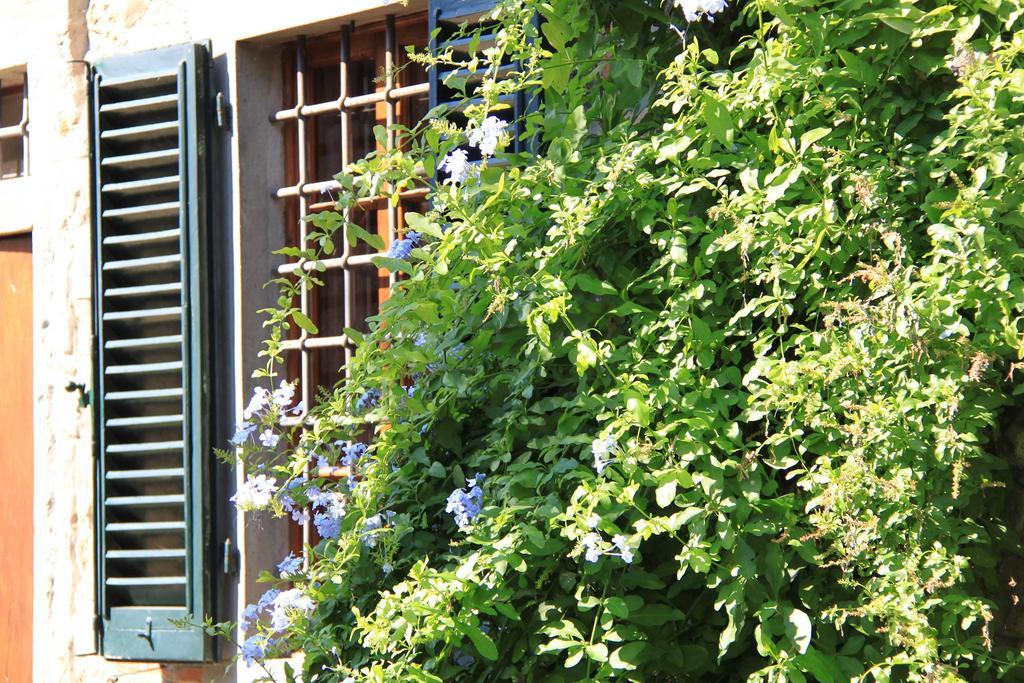 Antica Casa "Le Rondini" Bed & Breakfast Borgo a Buggiano Dış mekan fotoğraf