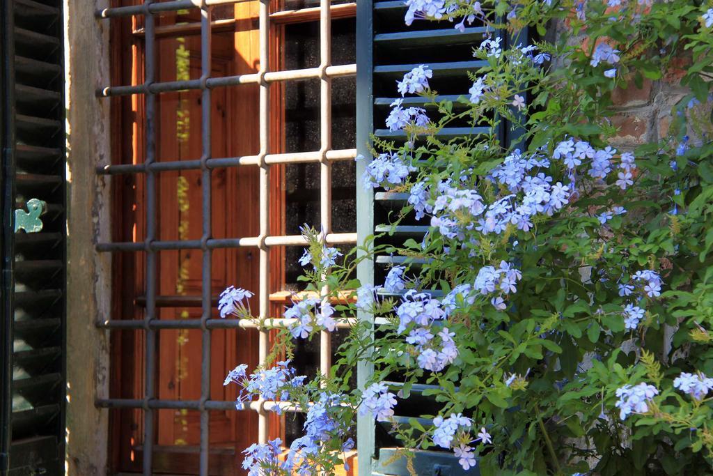 Antica Casa "Le Rondini" Bed & Breakfast Borgo a Buggiano Dış mekan fotoğraf