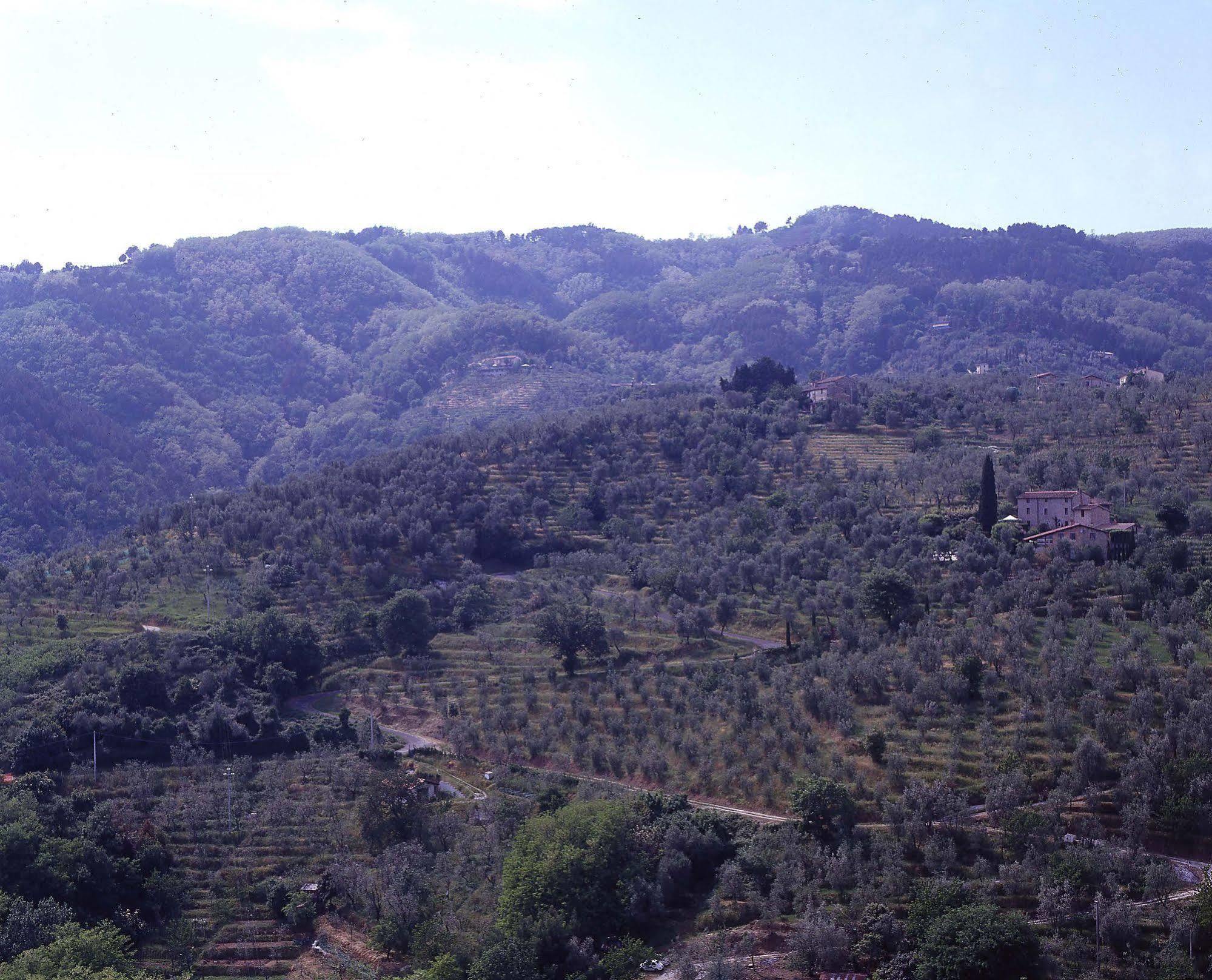 Antica Casa "Le Rondini" Bed & Breakfast Borgo a Buggiano Dış mekan fotoğraf